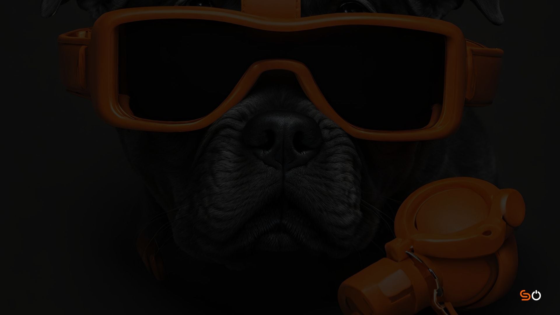 Animaux